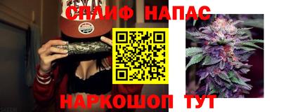 дживик Дубна