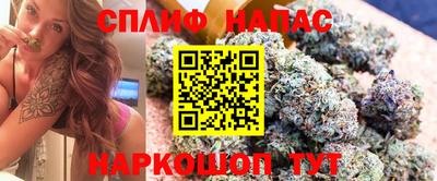 дживик Дубна