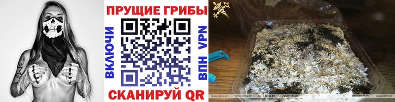 Галлюциногенные грибы MAGIC MUSHROOMS Санкт-Петербург