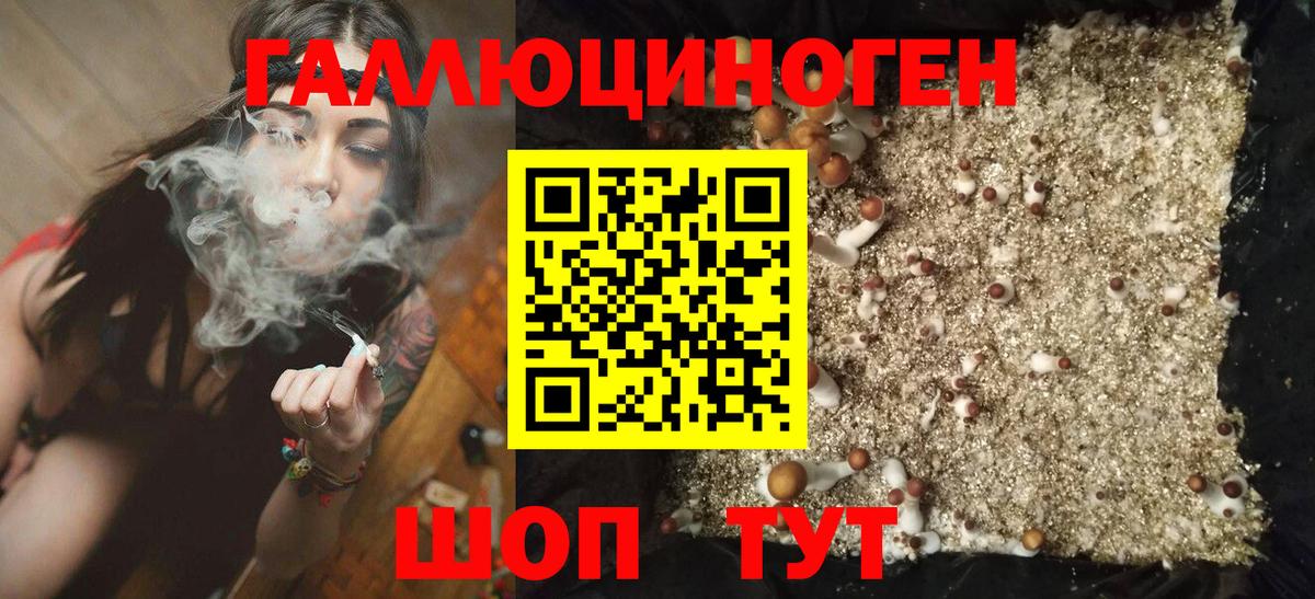 Псилоцибиновые грибы мухоморы  где найти наркотики  Псилоцибиновые грибы мухоморы  Санкт-Петербург  Вход с VPN 